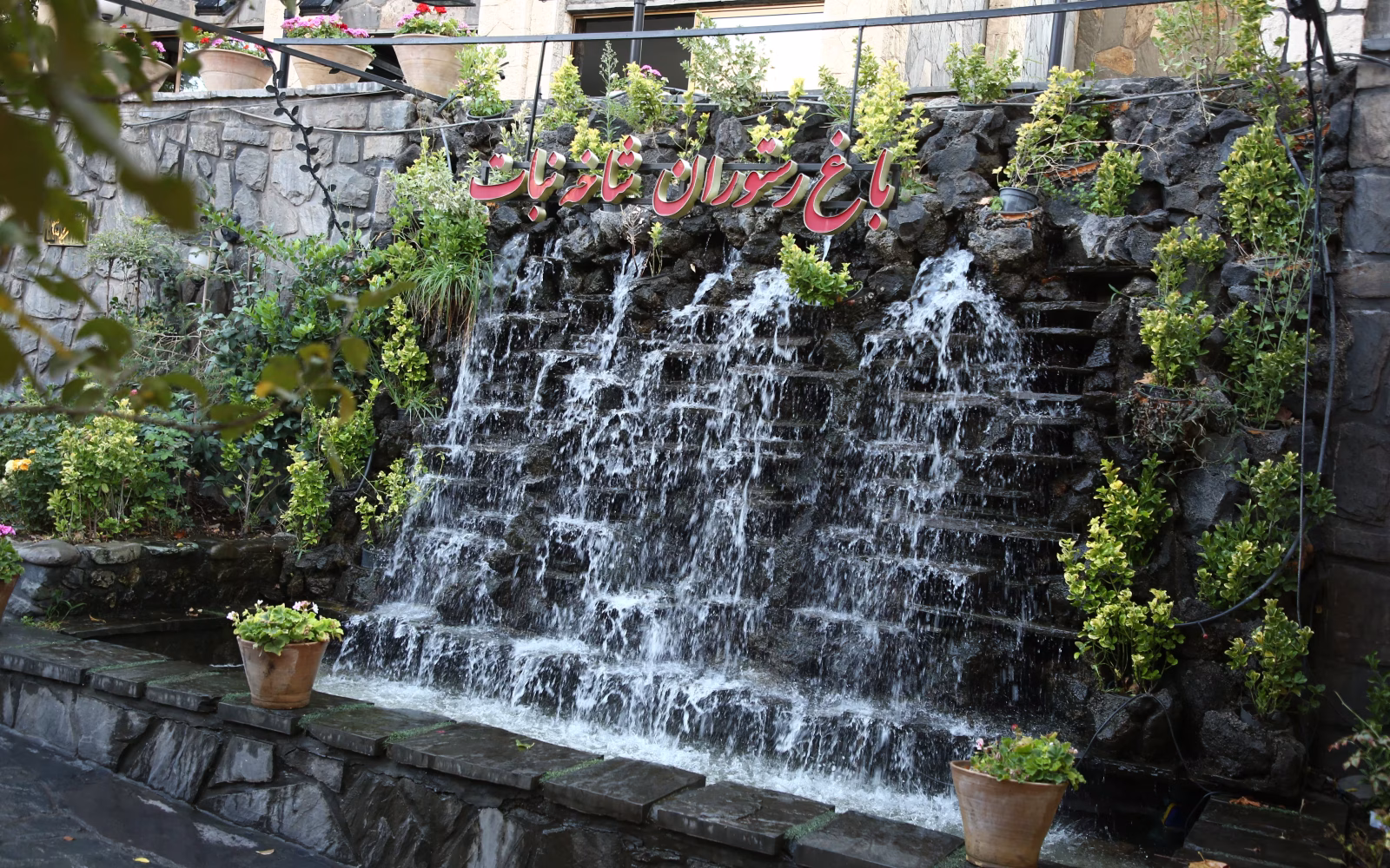 رستوران شاخه نبات
