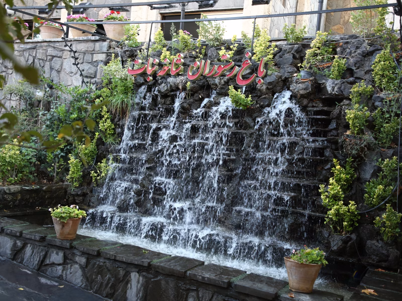 رستوران شاخه نبات